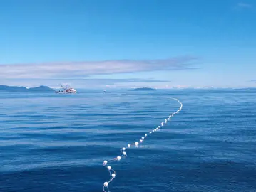 202004 Pergator 239920194