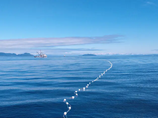 202004 Pergator 239920194