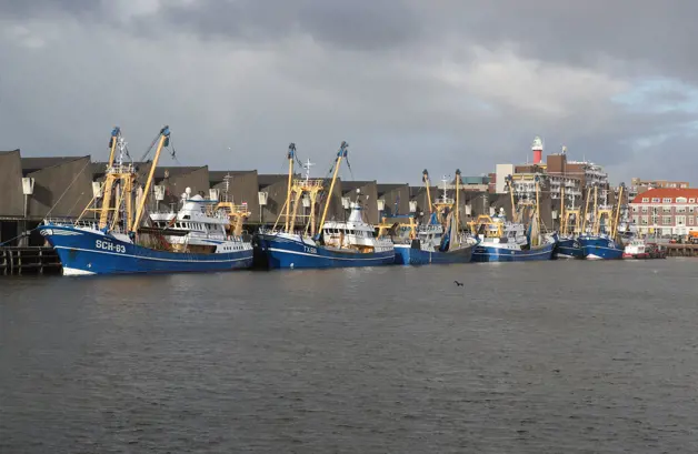 Visafslag Scheveningen