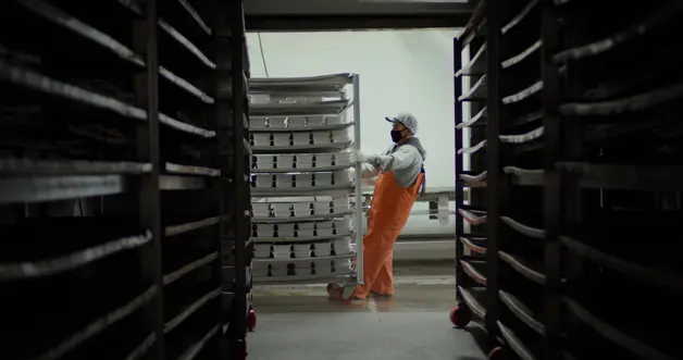 202105 FREEZING STORAGE 3 CF
