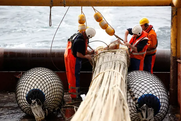 Uitzetten Netten Achterdek Trawler