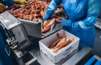 Progetto Senza Titolo (4)