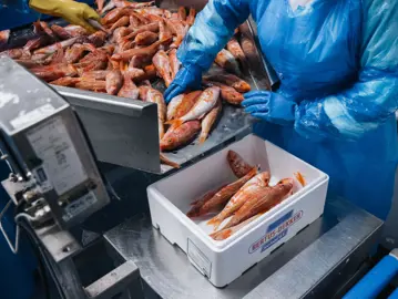 Progetto Senza Titolo (4)