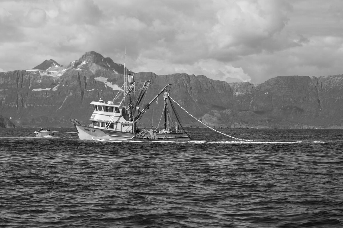 201809 Thompson Tyler Seining In Action Web BW